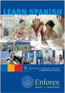 Rich Results on Google's SERP when searching for 'Learn Spanish In The Spanish World Book'